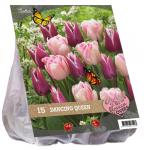 Baltus Urban Flowers Dancing queen bloembollen per 15 stuks